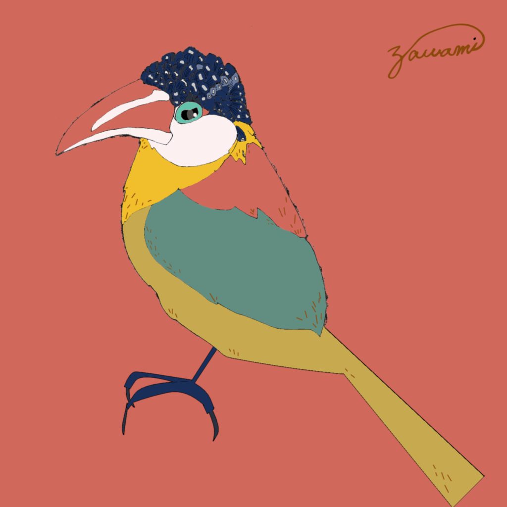 大阪のおばちゃんみたいな鳥 Curl Crested Aracari ニジチュウハシ